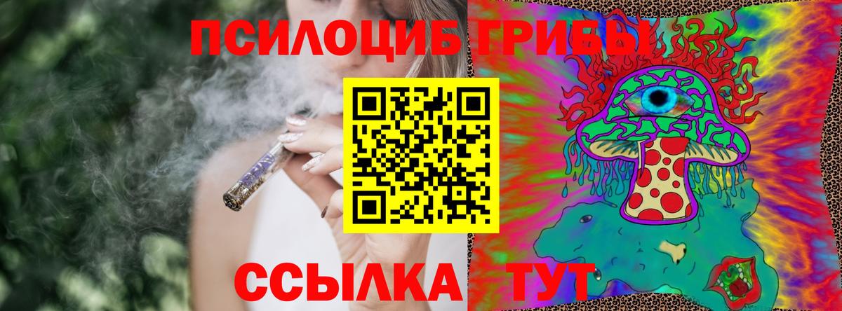 Галлюциногенные грибы MAGIC MUSHROOMS  Галлюциногенные грибы Psilocybine cubensis  как найти закладки  Бутурлиновка  Вход с VPN 